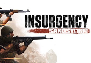 Insurgency: Sandstorm PlayStation 5 Account