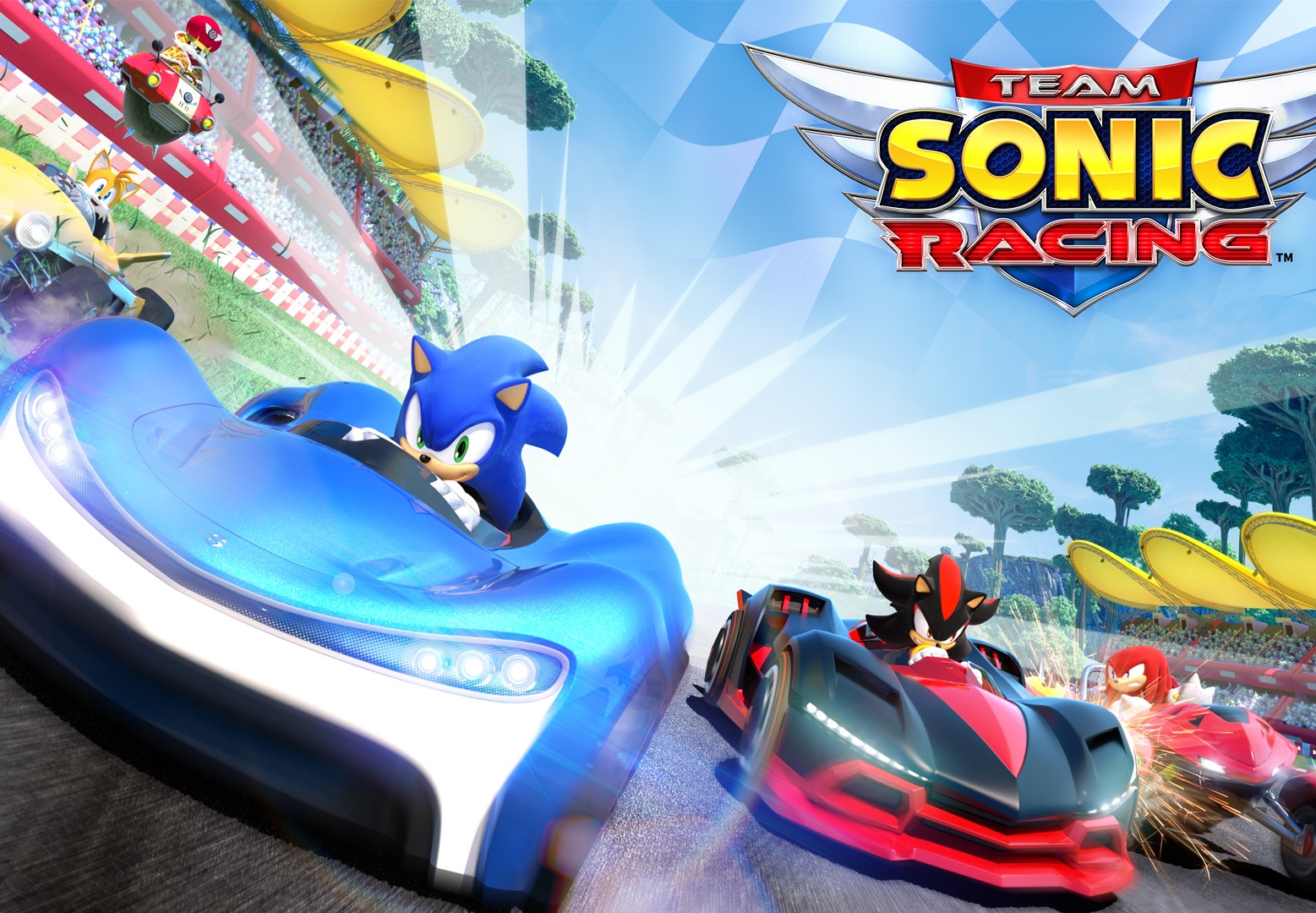 Team Sonic Racing EU Nintendo Switch CD Key