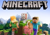 Minecraft Nintendo Switch Online Account Activation