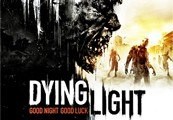 Dying Light PC Epic Games Account