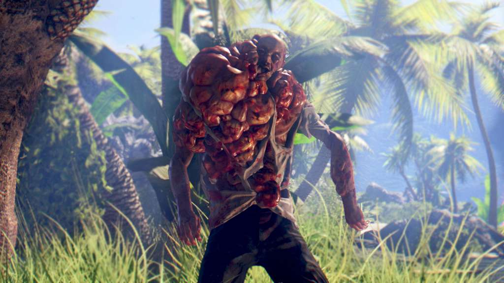 Dead Island Definitive Edition PS4 Account thumbnail 3