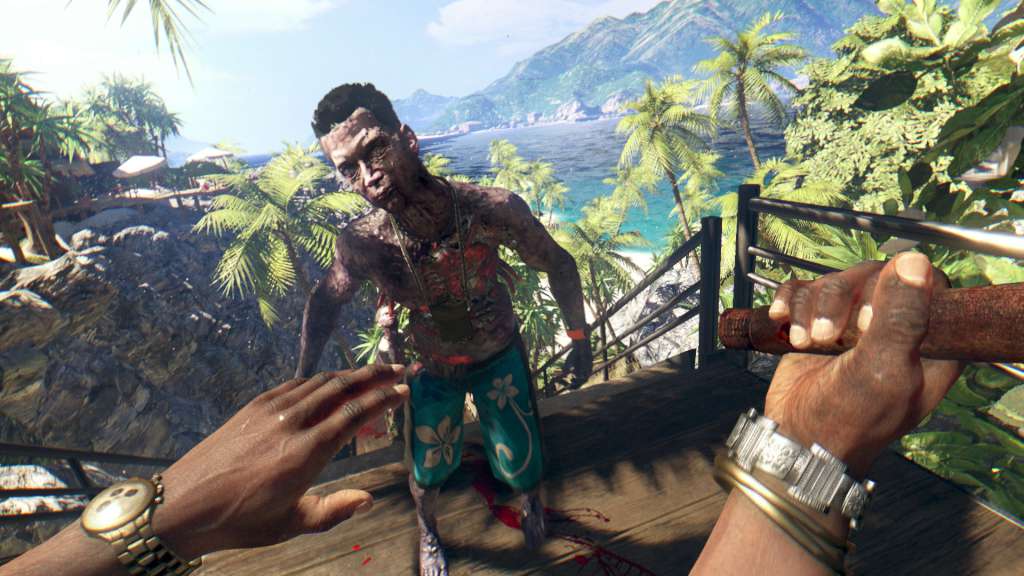Dead Island Definitive Edition PS4 Account thumbnail 4