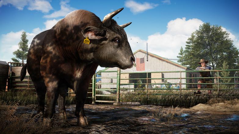Far Cry 5 EU XBOX One CD Key thumbnail 6