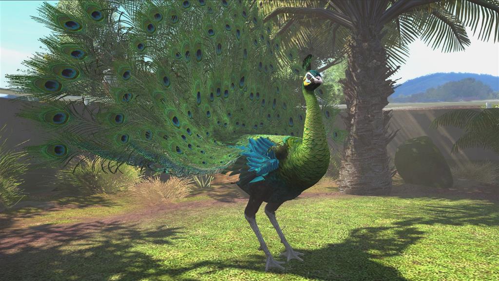 Zoo Tycoon Ultimate Animal Collection EU XBOX One / Windows 10 Clé - Screenshot 6
