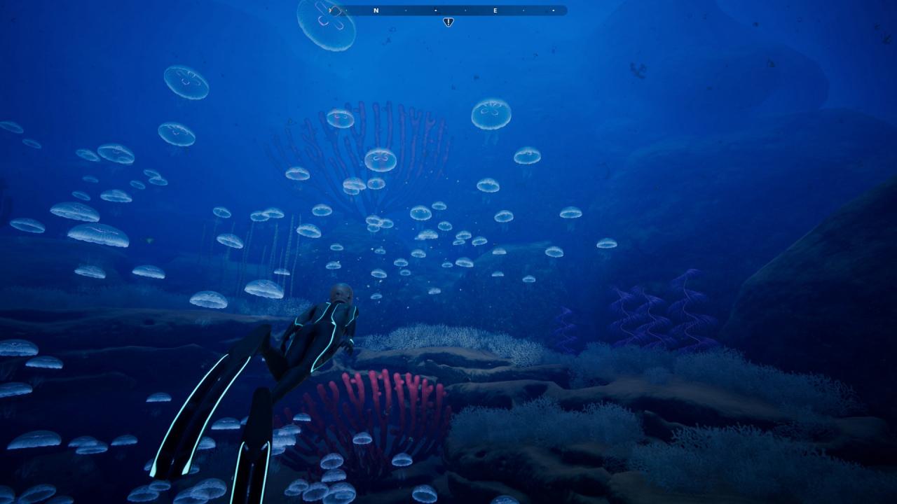 Beyond Blue Epic Games Account thumbnail 4