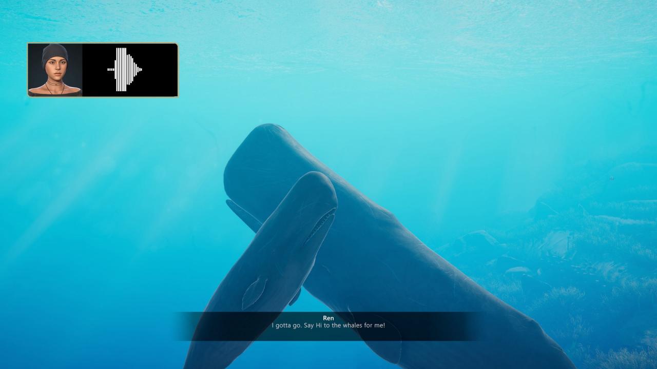 Beyond Blue Epic Games Account - Screenshot 7