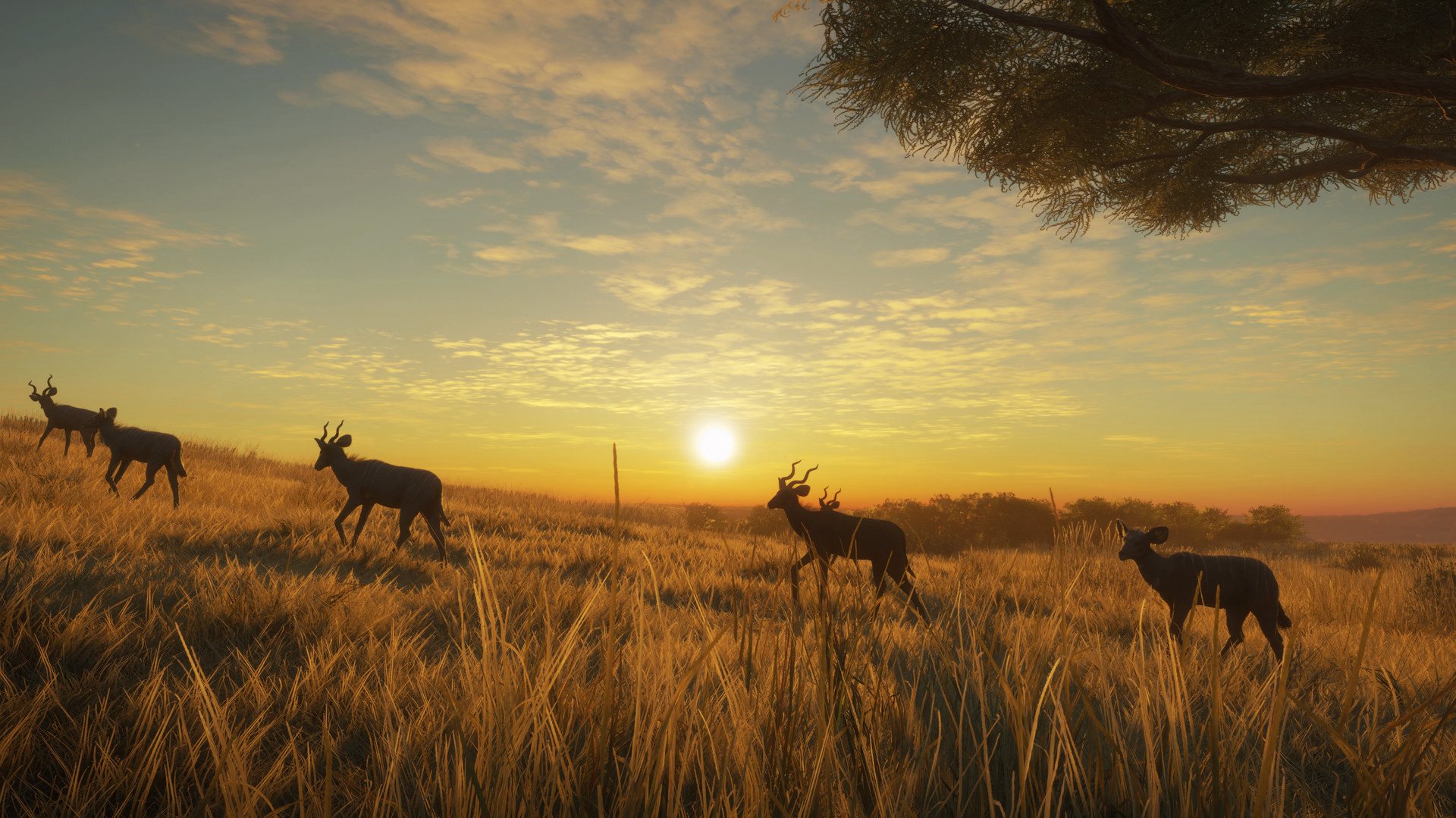 theHunter: Call of the Wild - Vurhonga Savanna DLC PC Steam CD Key (valid until March, 2027) - Screenshot 6