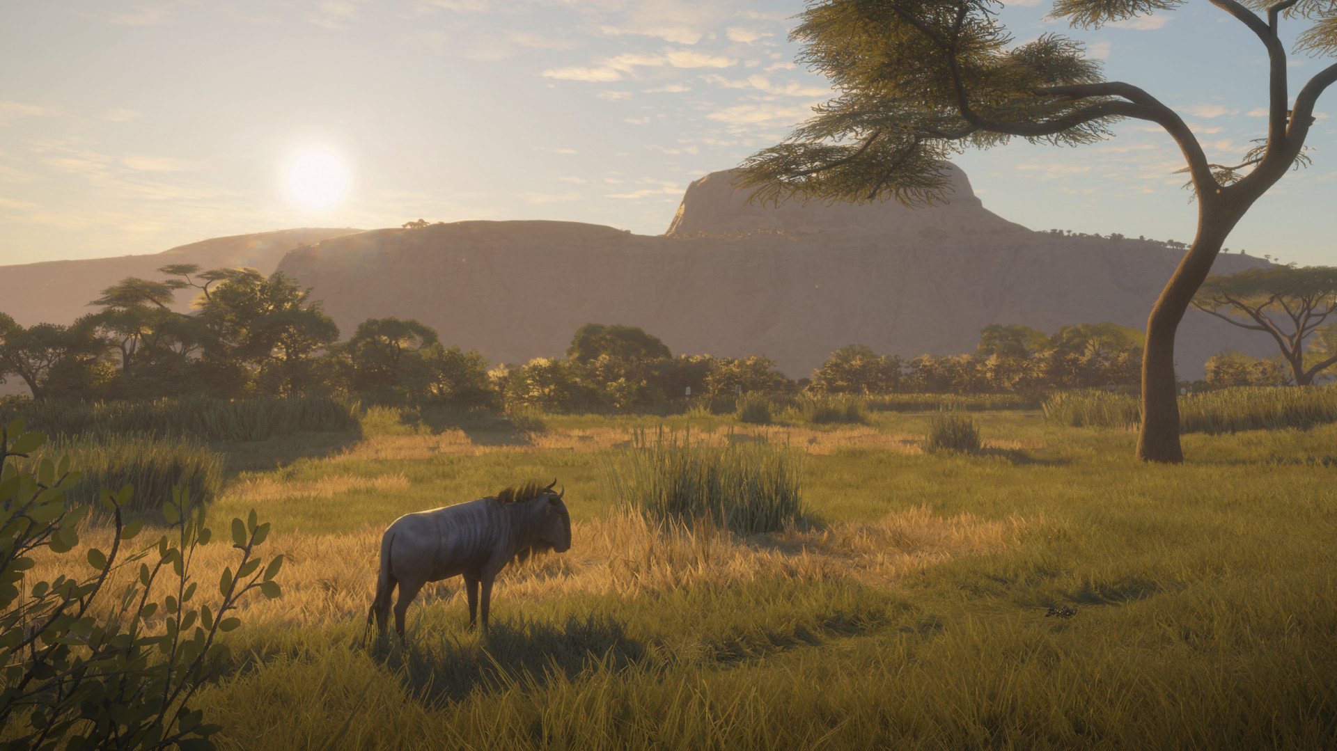 theHunter: Call of the Wild - Vurhonga Savanna DLC PC Steam CD Key (valid until March, 2027) - Screenshot 7