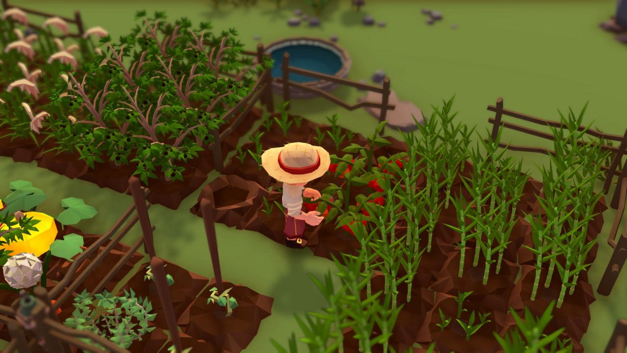 Stranded Sails - Explorers of the Cursed Islands EU Nintendo Switch CD Key thumbnail 3