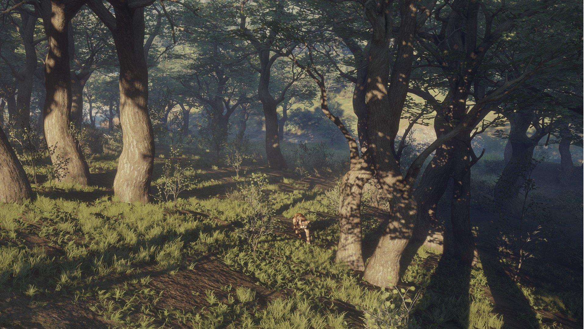 theHunter: Call of the Wild - Parque Fernando DLC PC Steam CD Key (valid until March, 2027) - Screenshot 6