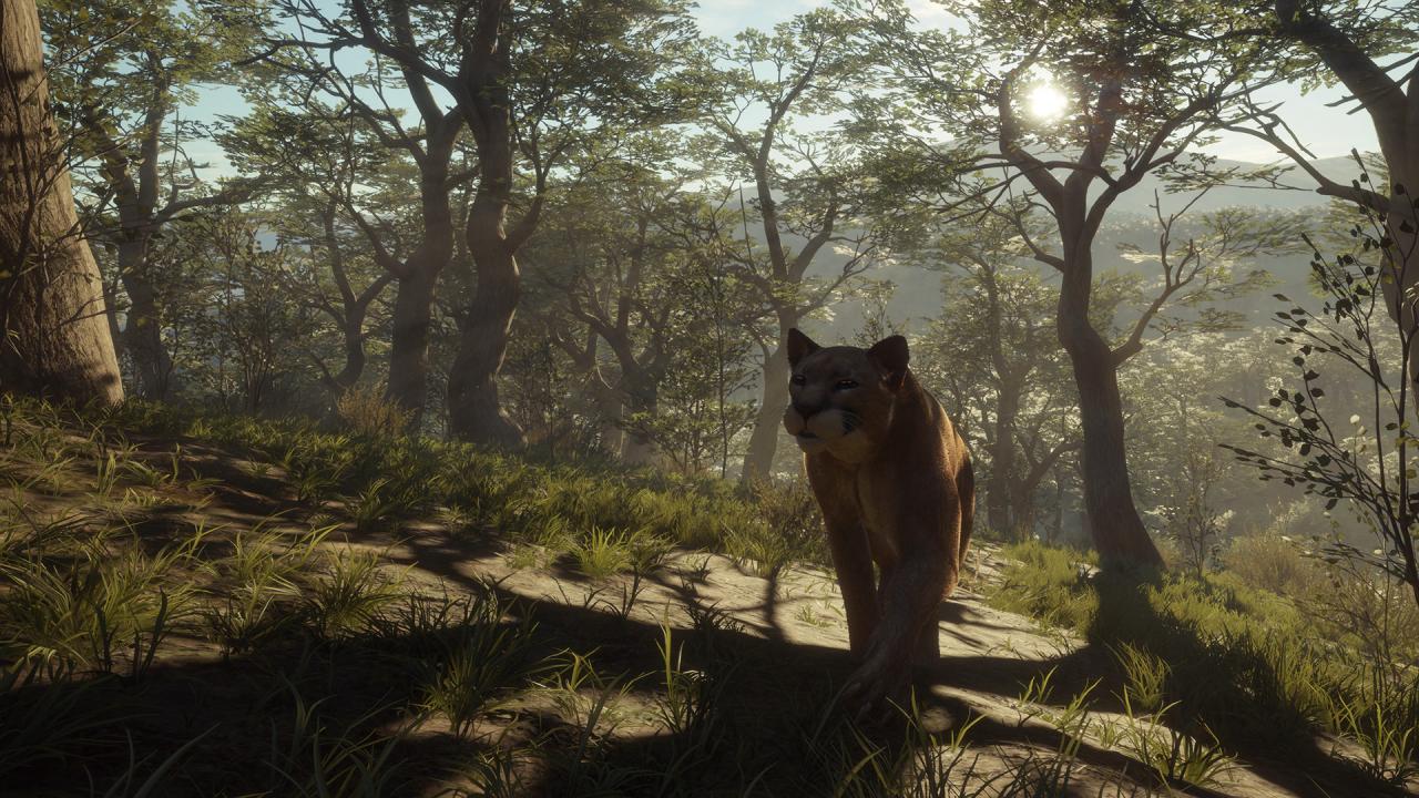theHunter: Call of the Wild - Parque Fernando DLC PC Steam CD Key (valid until March, 2027) - Screenshot 7