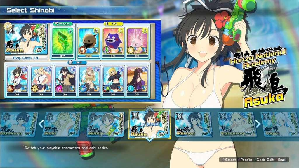 Senran Kagura Peach Beach Splash Steam CD Key thumbnail 4