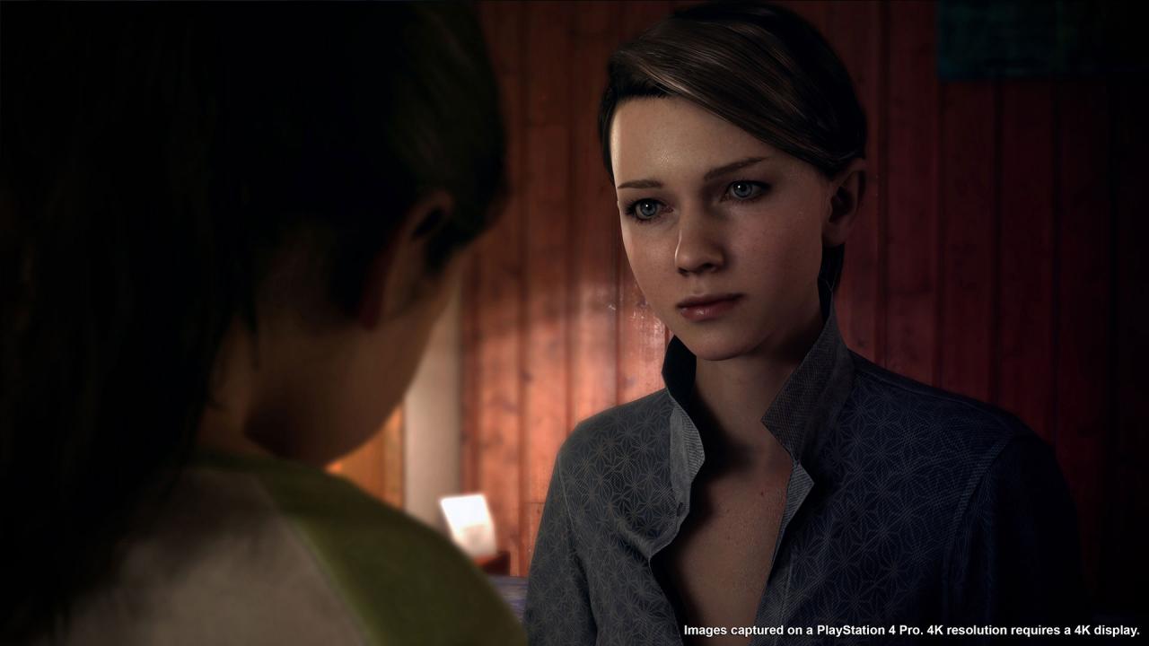 Detroit: Become Human PS4/PS5 Account thumbnail 2