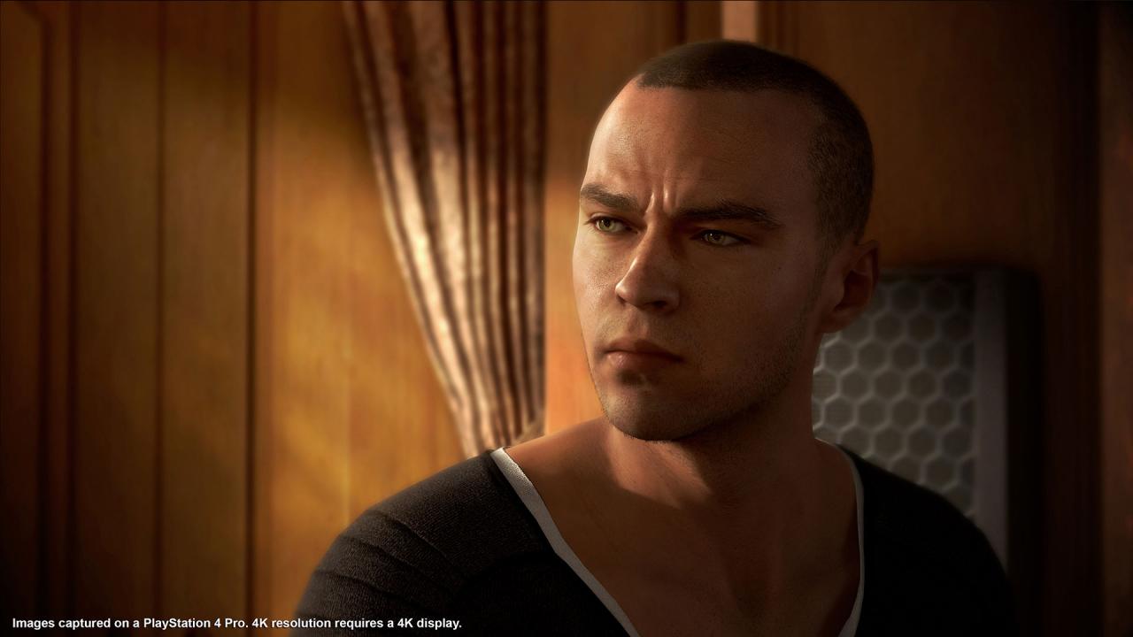 Detroit: Become Human PS4/PS5 Account thumbnail 3
