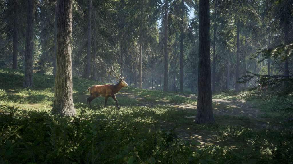 theHunter: Call of the Wild EU PS5 CD Key thumbnail 5