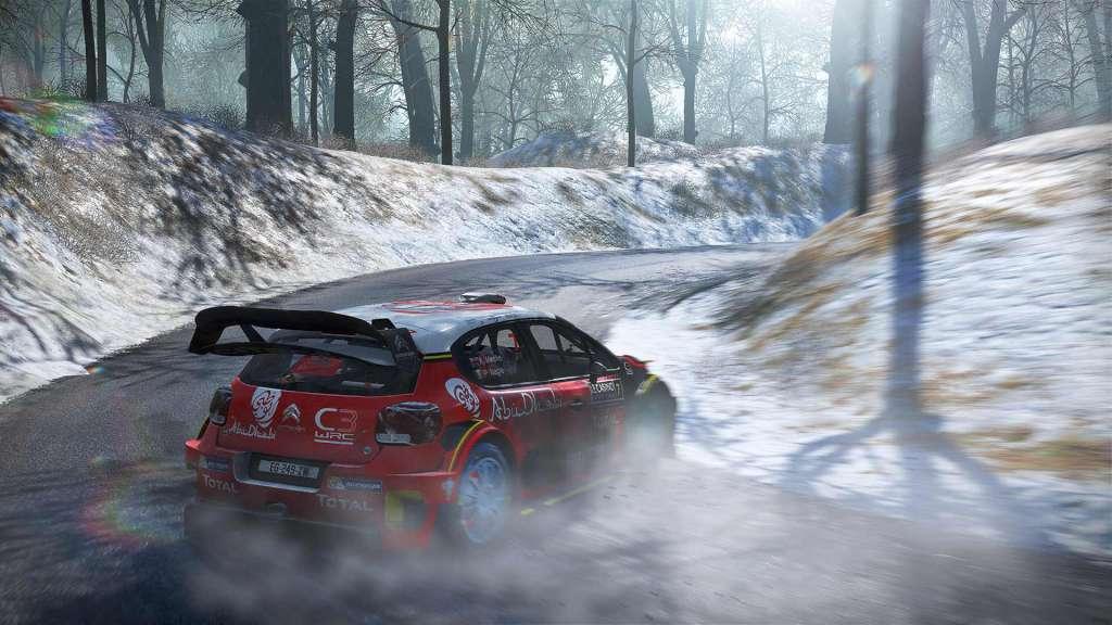 WRC 7 FIA World Rally Championship PS4 Account - Screenshot 6