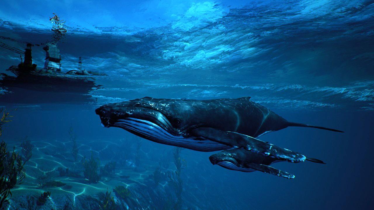 Maneater EU Epic Games CD Key - Screenshot 9