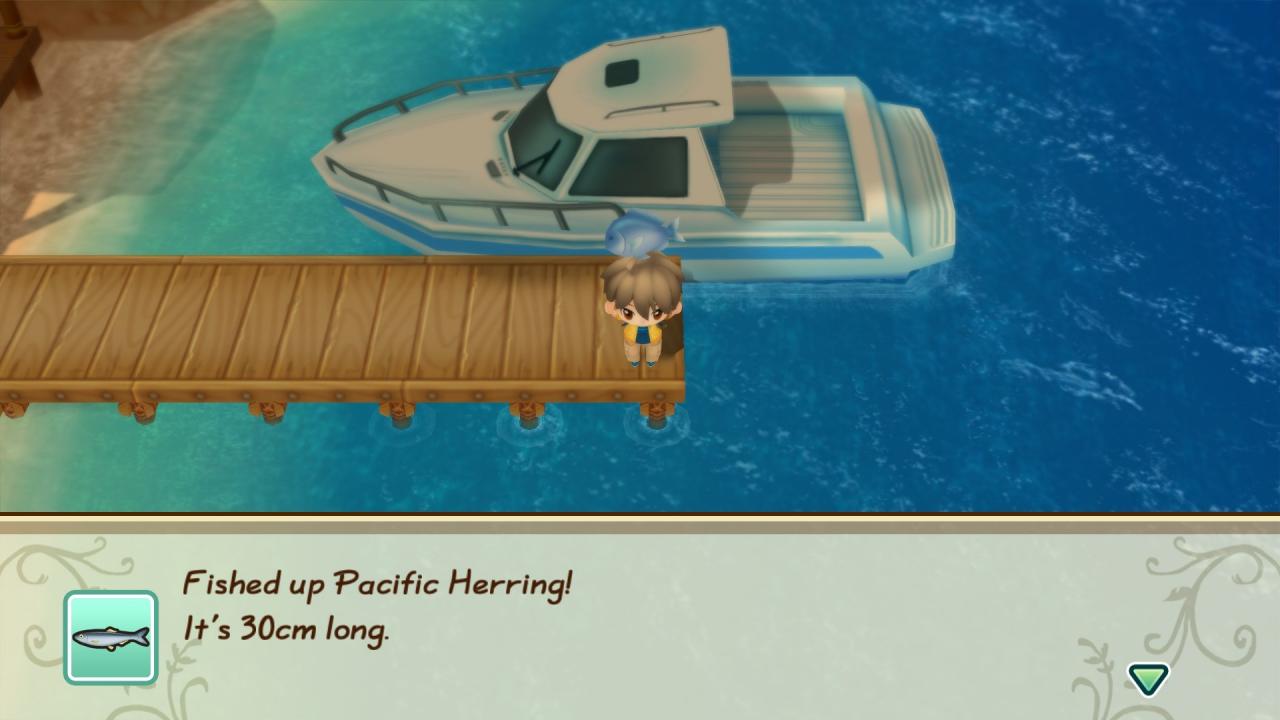 STORY OF SEASONS: Friends of Mineral Town Nintendo Switch Online Account Activation - Screenshot 8