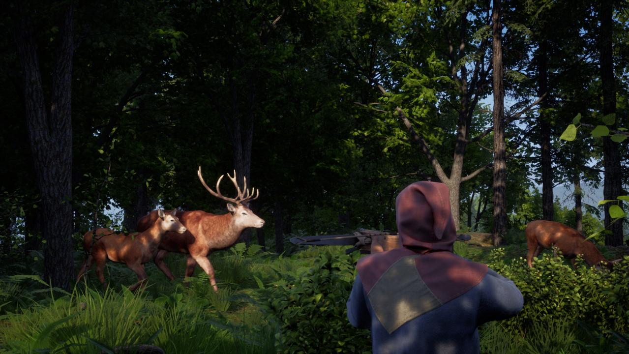 Medieval Dynasty PC Epic Games Account - Screenshot 8