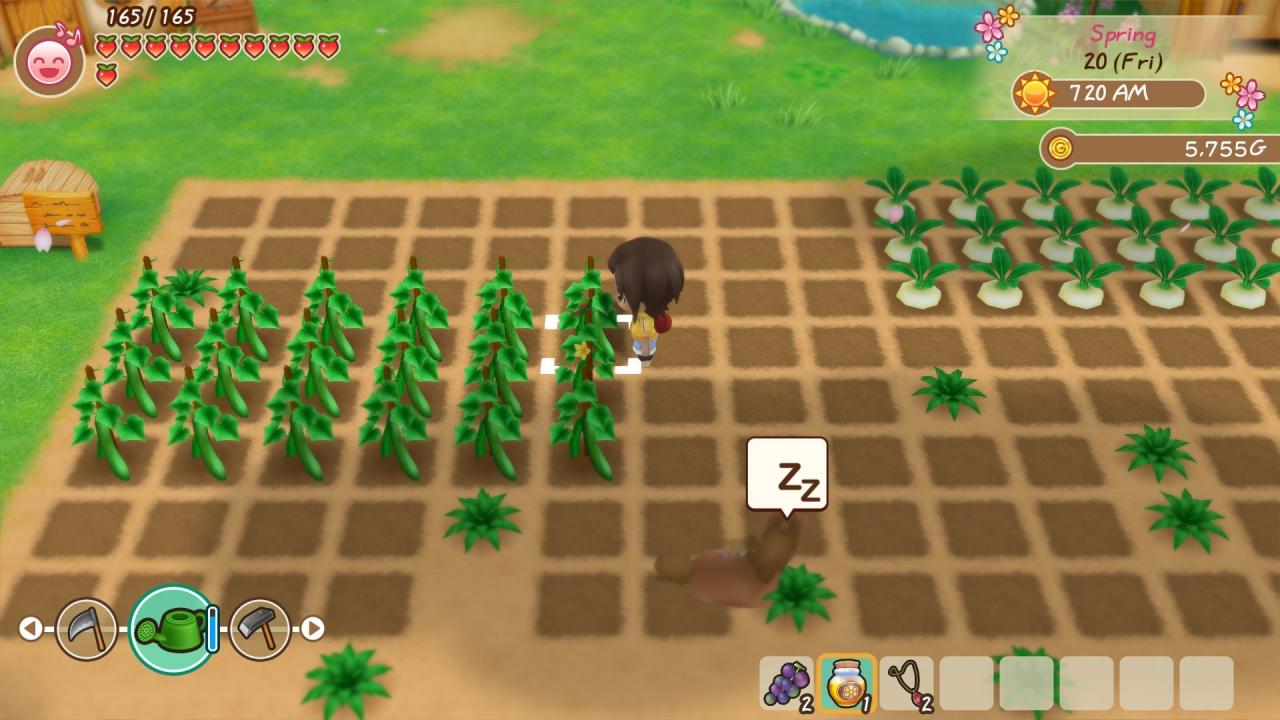 STORY OF SEASONS: Friends of Mineral Town Nintendo Switch Online Account Activation thumbnail 3