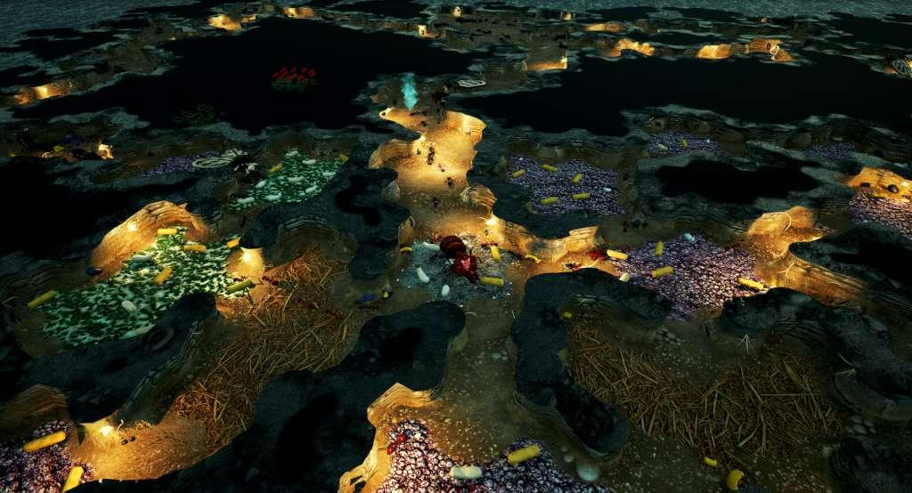 Empires of the Undergrowth PC Epic Games Account thumbnail 3