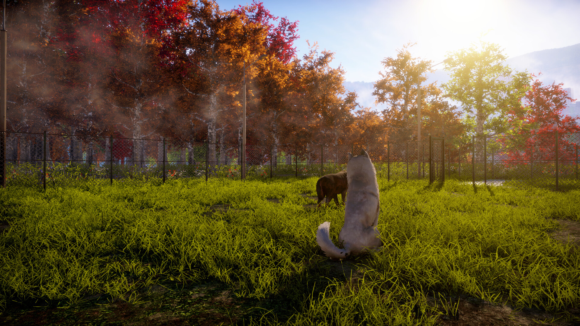 Animal Shelter 2 PC Steam CD Key thumbnail 4