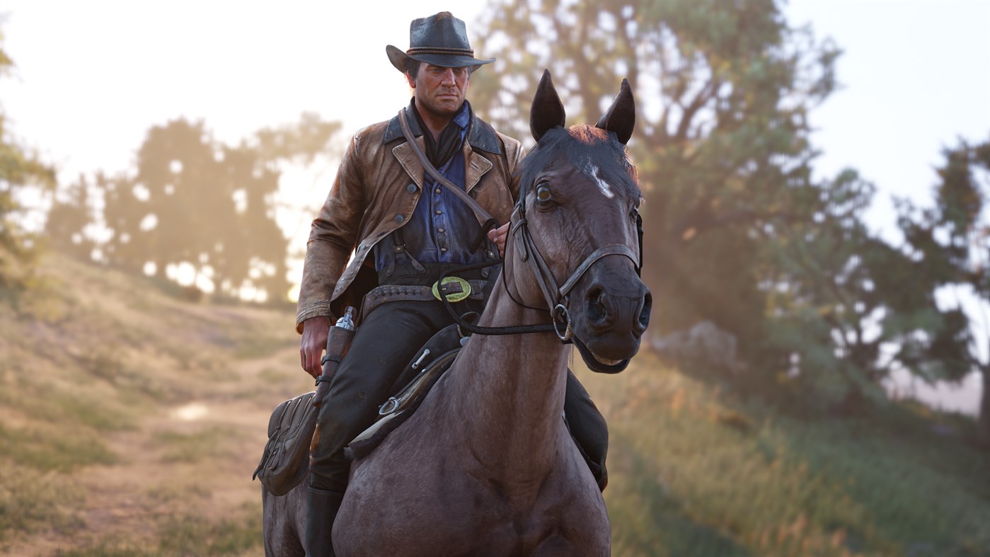 Red Dead Redemption 2 - Story Mode and Ultimate Edition Content EU XBOX One CD Key thumbnail 2