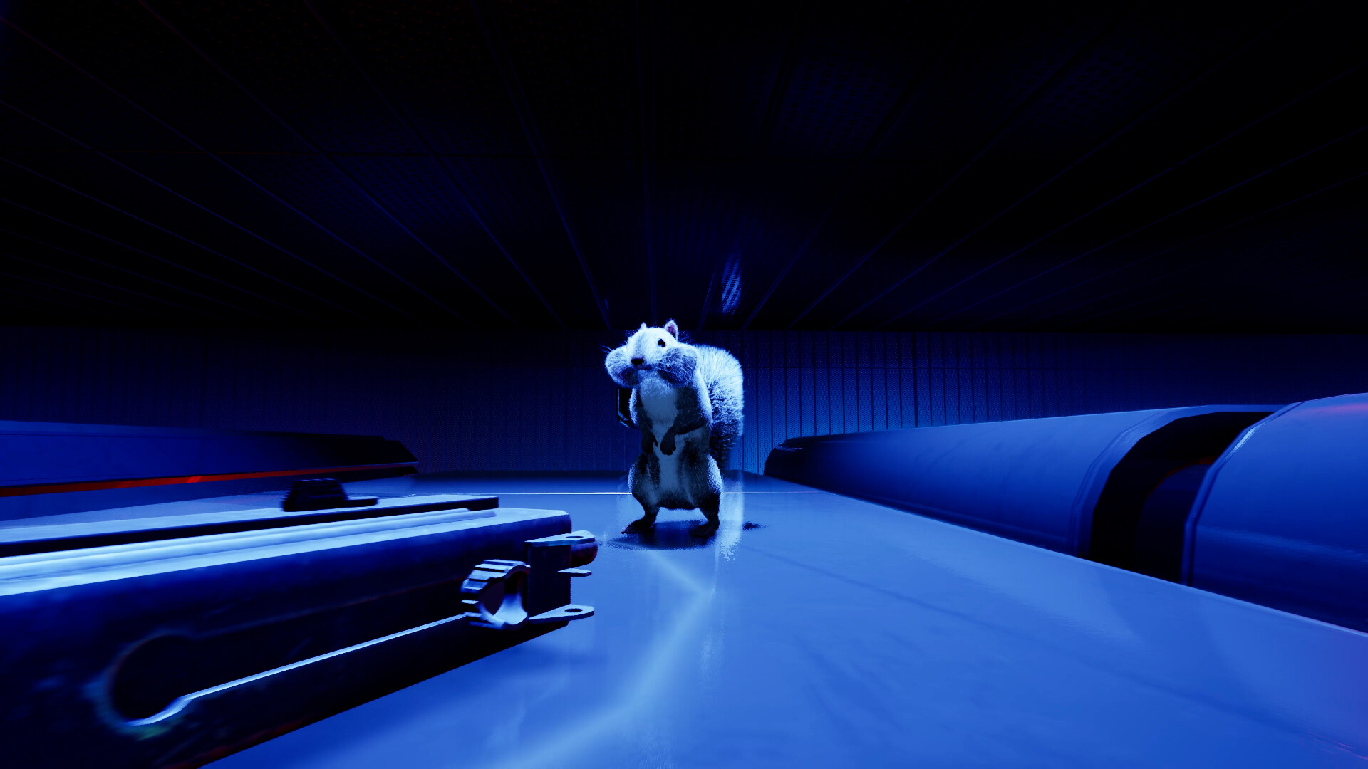 Squirrel with a Gun EU PC Steam CD Key (valid until September 2026) thumbnail 4