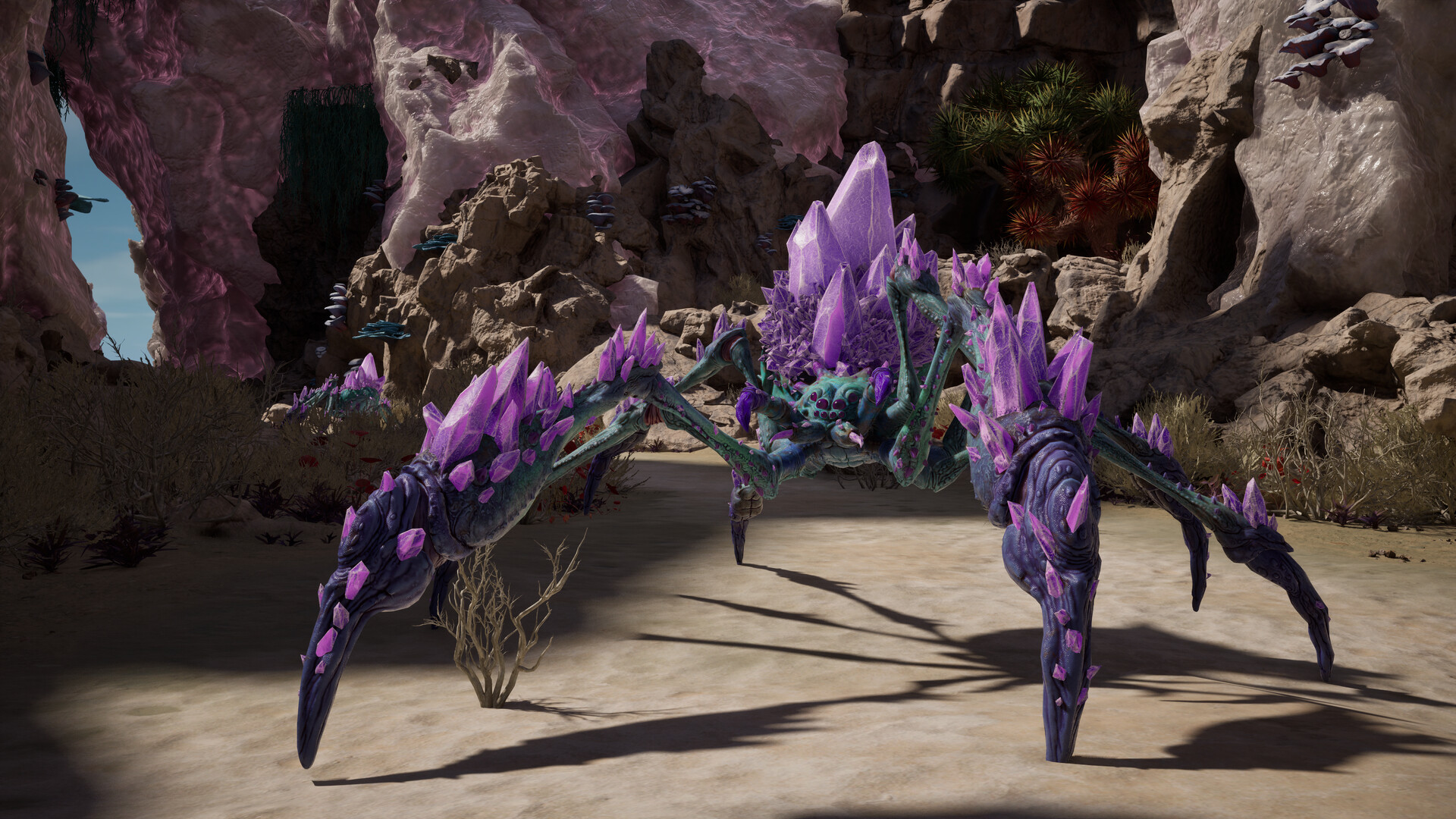 Avowed PC Steam Altergift - Screenshot 12