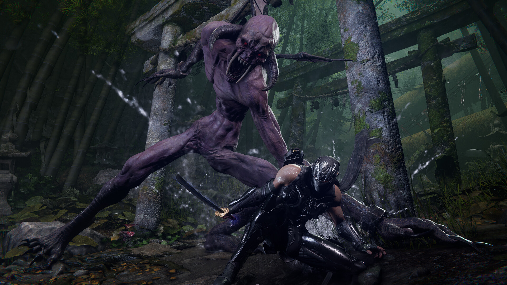 NINJA GAIDEN 4 PL Xbox Series X|S / PC Clé - Screenshot 7