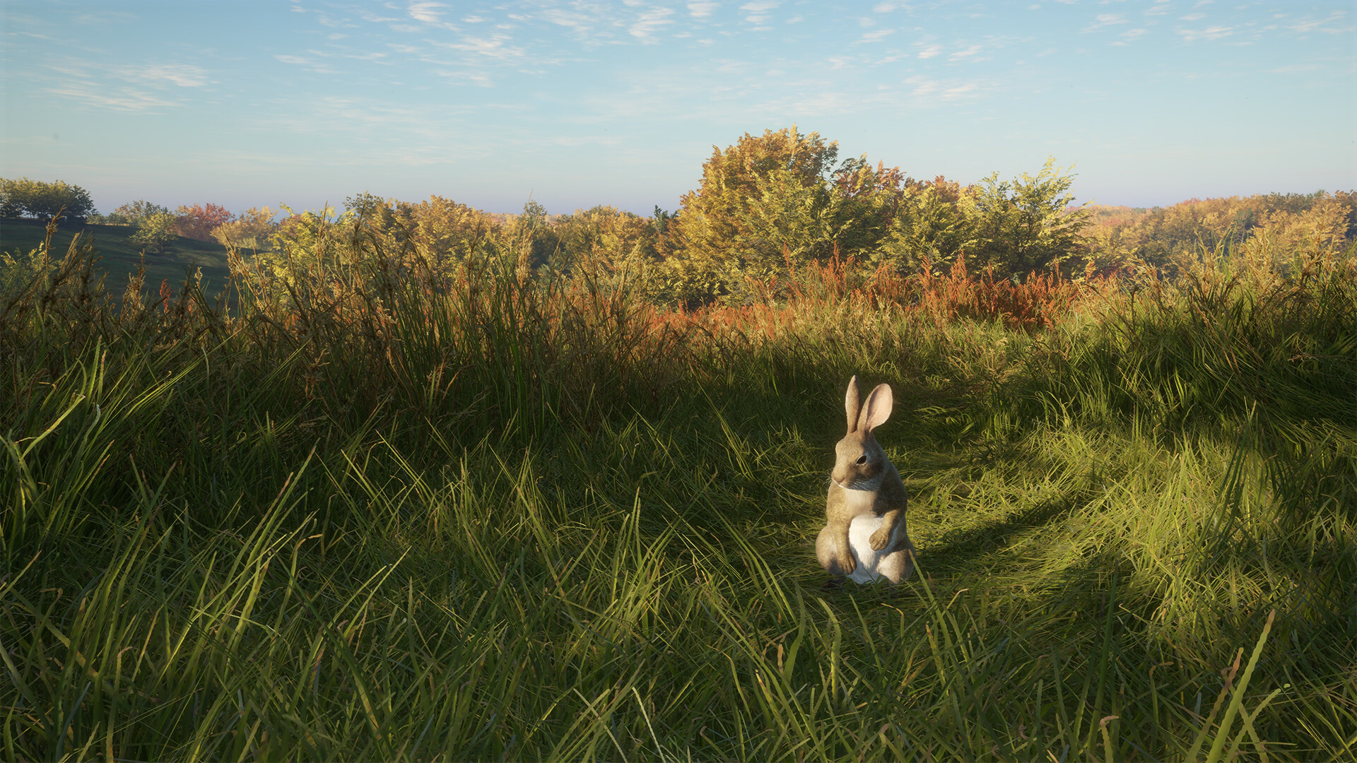 theHunter: Call of the Wild - Salzwiesen Park DLC PC Steam CD Key (valid until March, 2027) thumbnail 6