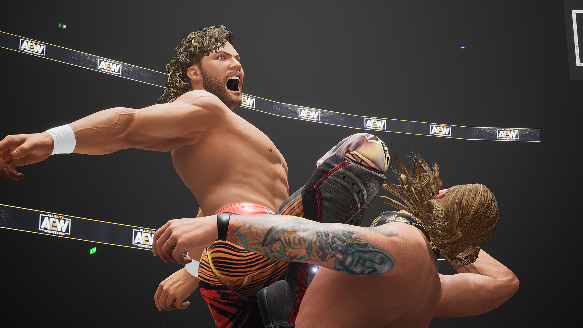AEW: Fight Forever Steam Account thumbnail 2