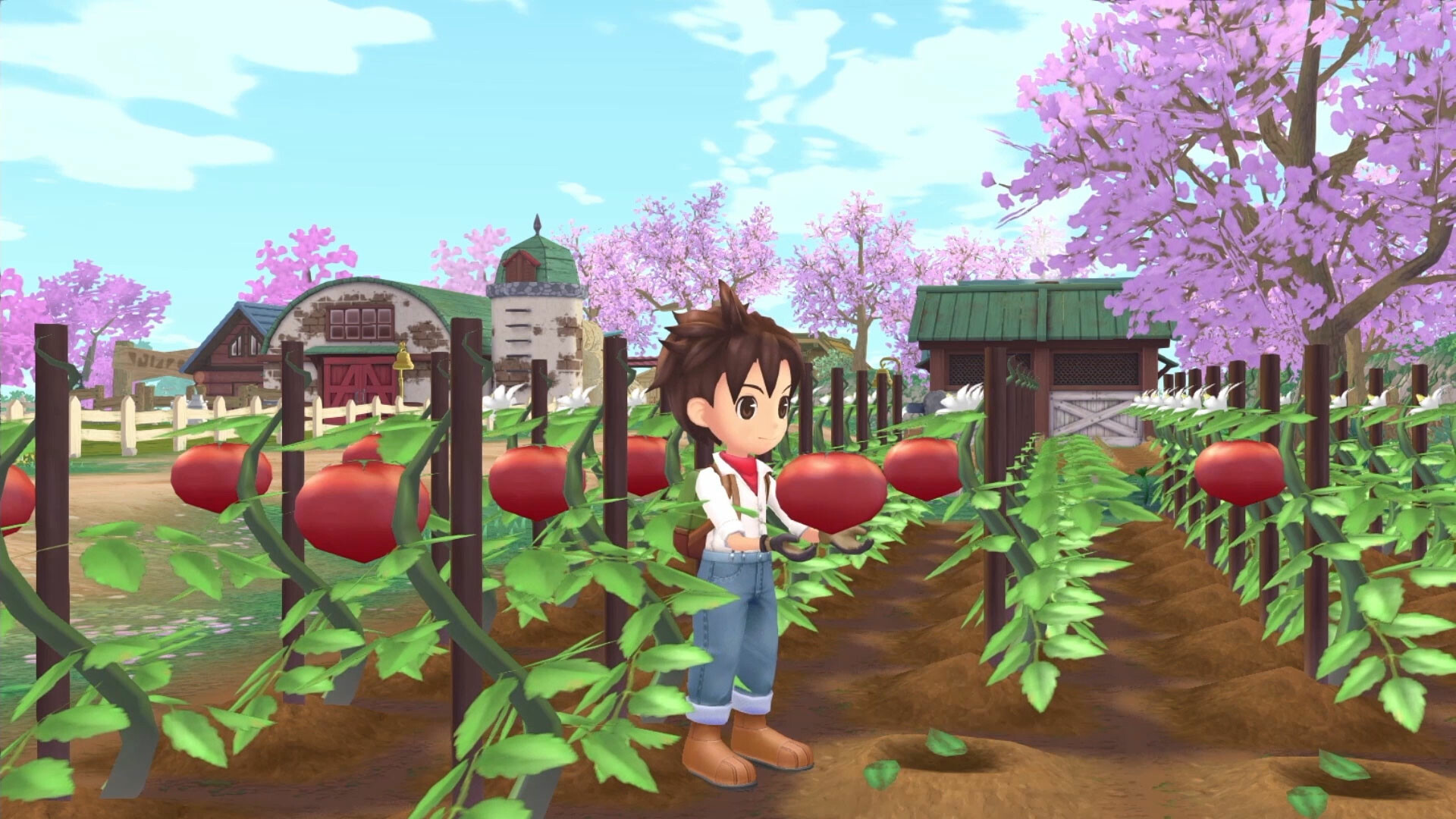 Story of Seasons: A Wonderful Life Steam Account - Screenshot 9