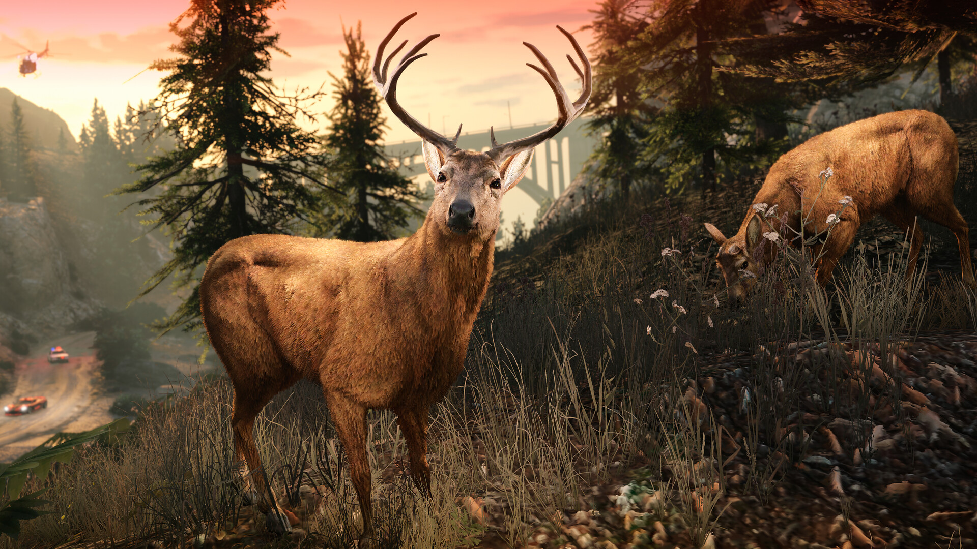 Grand Theft Auto V Enhanced & Great White Shark Card PC Rockstar Games Clé thumbnail 5