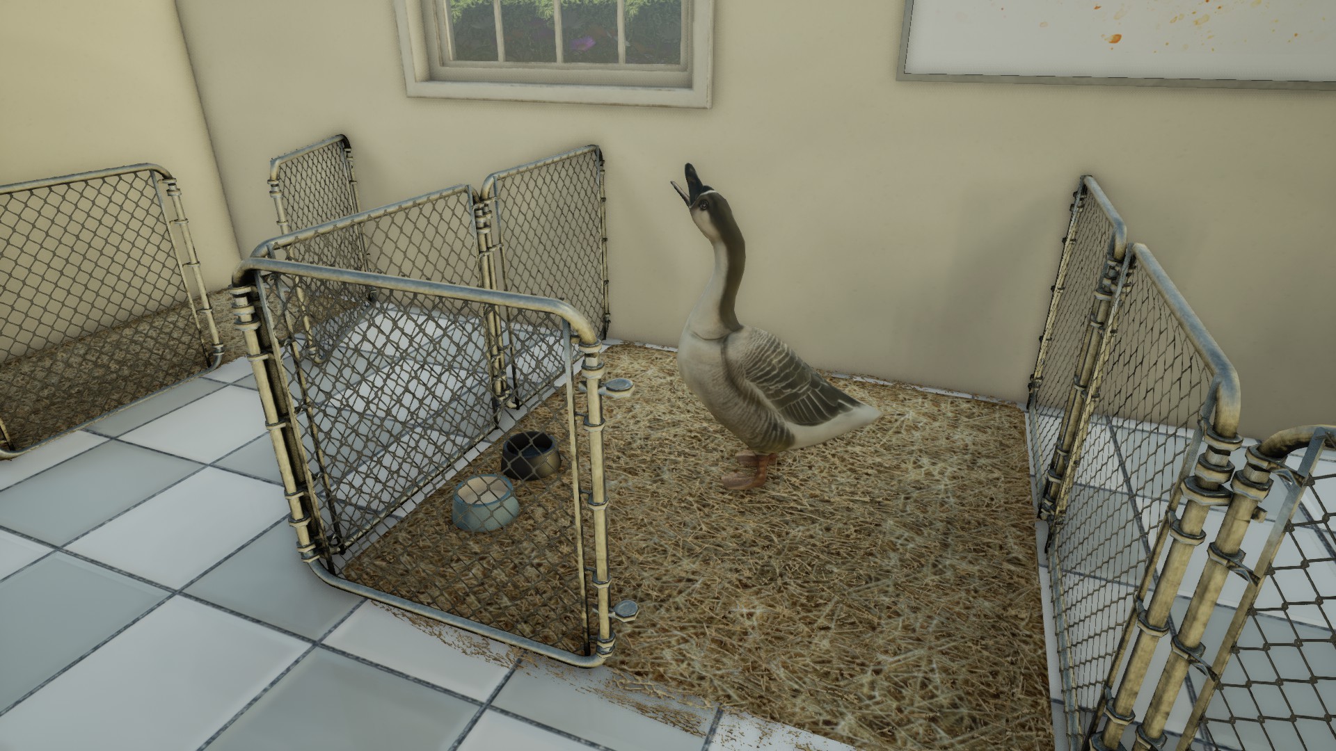 Animal Doctor EU Nintendo Switch Clé - Screenshot 8