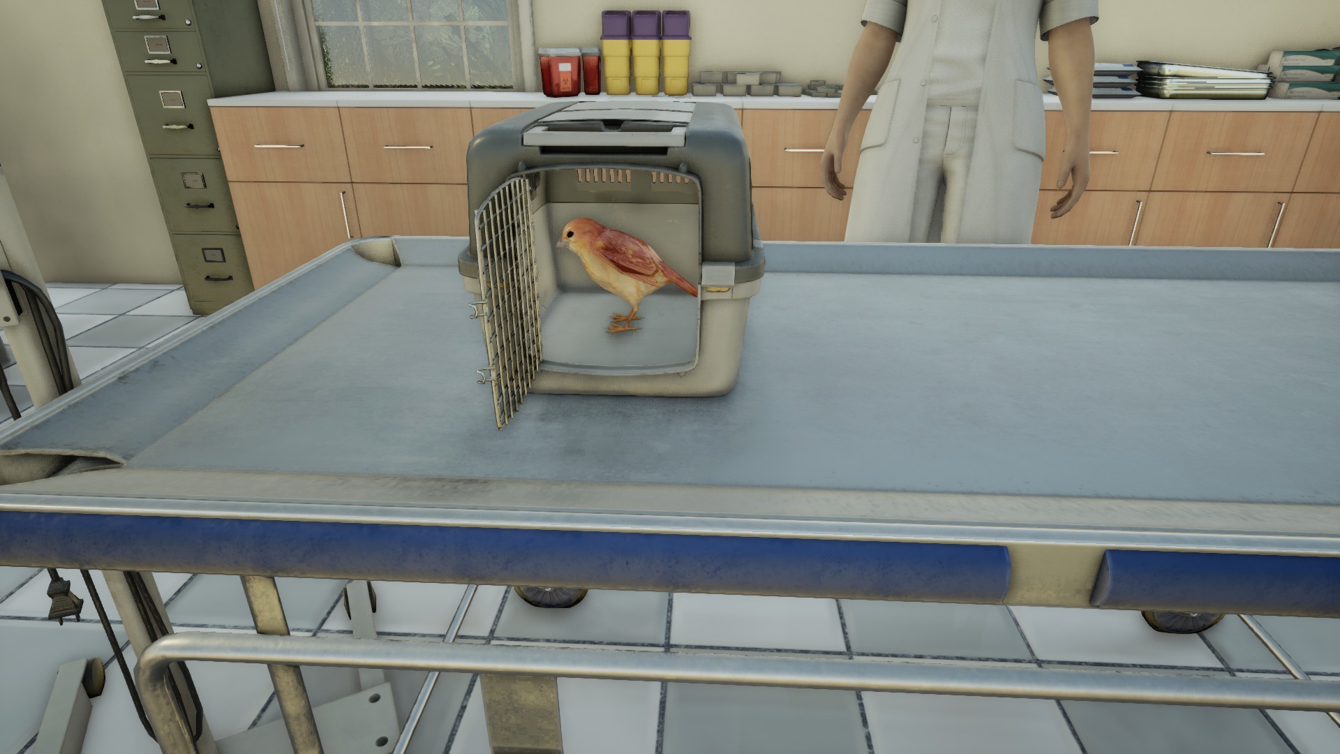 Animal Doctor EU Nintendo Switch Clé thumbnail 6