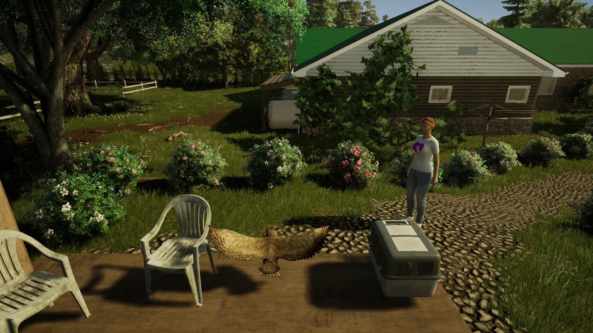 Animal Doctor EU Nintendo Switch Clé thumbnail 2