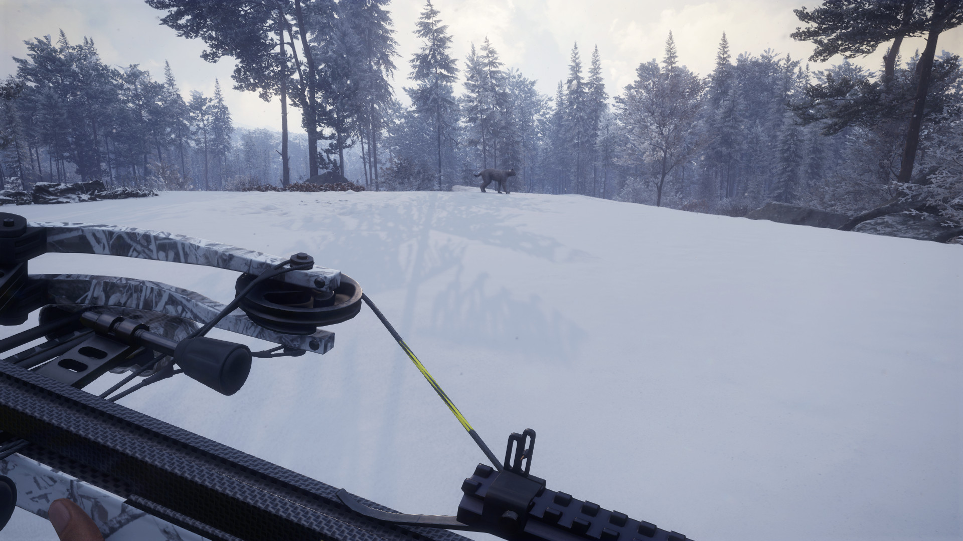 theHunter: Call of the Wild - Weapon Pack 1 DLC PC Steam CD Key (valid until March, 2027) - Screenshot 6